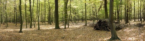 pano1.jpg